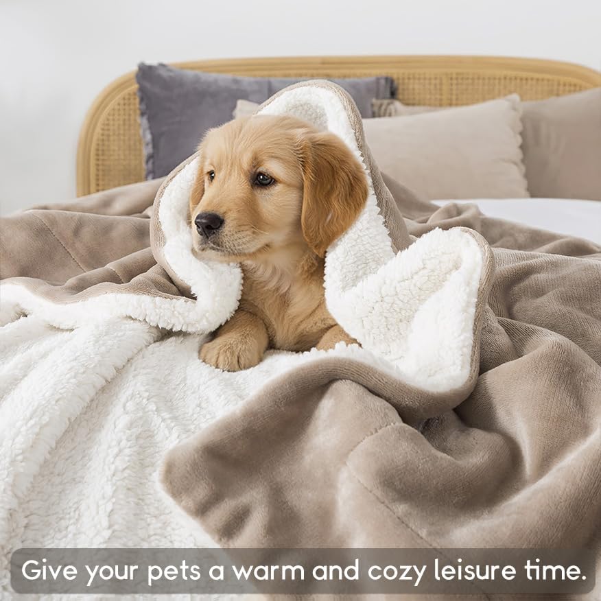 WDCOZY Sherpa Fleece Throw Blanket 108"x90", Soft Warm Bed Blankets