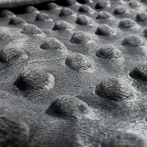 ALANSMA Reversible Weighted Blanket for All Season, Luxury Velvet