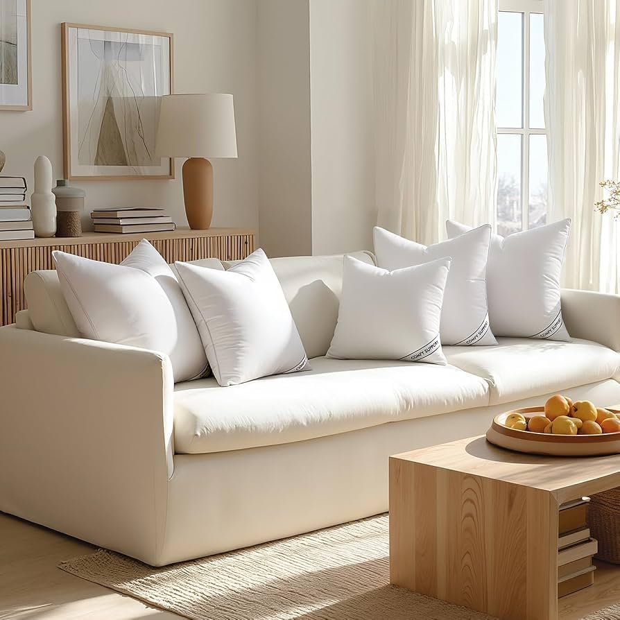 MIULEE 20x20 Pillows Inserts Pack of 2, Down Alternative Virgin
