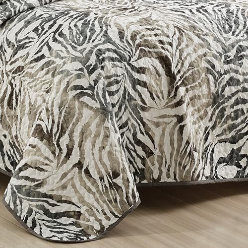 ESCA 3-Piece Alley Animal Print Gray Bedspread Set King Size Tiger