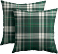 Christmas Throw Pillow Covers 22x22 Set of 2 Winter Green Buffalo